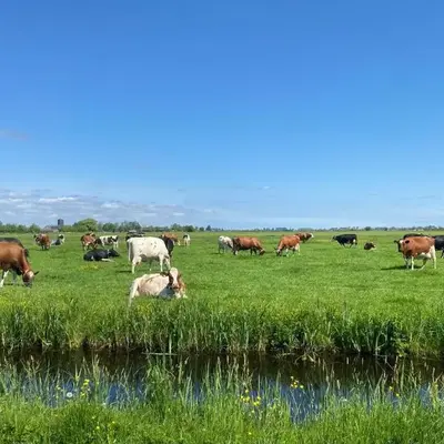 Geniet van de rust en de ruimte