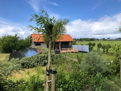 a house with a tree in the middle of a field at kleinrosenbrand in Burgerbrug