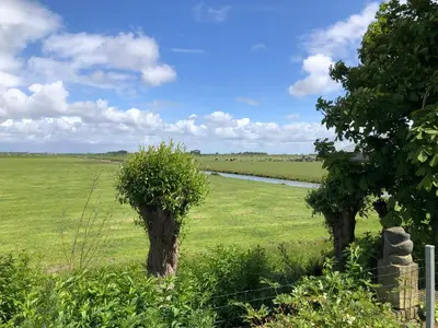 two trees in the middle of a field with a river at kleinrosenbrand in Burgerbrug