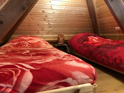 two beds in a room with wooden walls at kleinrosenbrand in Burgerbrug