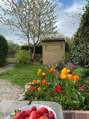 a bowl of strawberries on a table in a garden at The Highlander- Stylish Hideaway near Beach & Forest Schoorl and Bergen- Dogs Welcome in Warmenhuizen