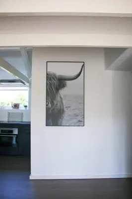 a picture of a bull on a wall in a room at The Highlander- Stylish Hideaway near Beach & Forest Schoorl and Bergen- Dogs Welcome in Warmenhuizen
