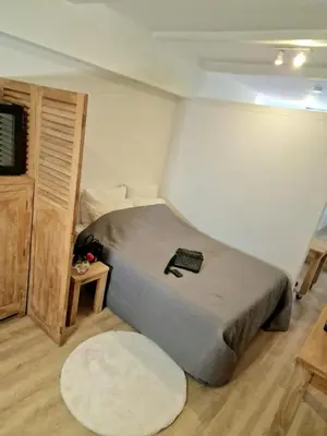 a bedroom with a bed with a pillow on it at New Apartment in the Heart of Amsterdam in Amsterdam