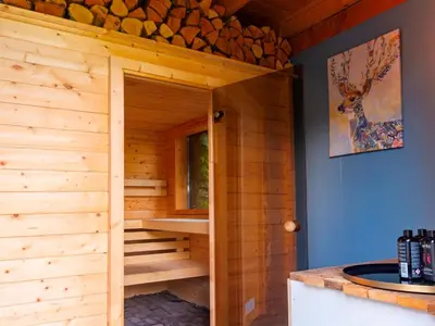 a wooden sauna with a wooden door in a cabin at Watervilla van Francke by Droomvilla in Ons Belang