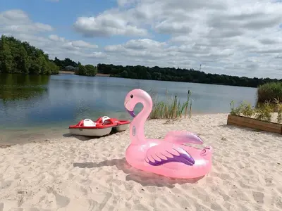 a pink plastic swan sitting on the sand next to a boat at Watervilla van Francke by Droomvilla in Ons Belang