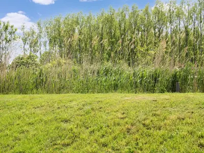 a field with tall grass and a tree at Holiday Home near Kaag Lakes and Leiden Canals in Oud-Ade