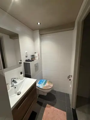a bathroom with a toilet and a sink at Katwijks geluk in Katwijk aan Zee