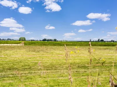 a field of grass with a fence in the foreground at Holiday Home Oud Ade near Kaag Lakes in Oud-Ade