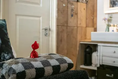 a red cat sitting on a pillow on a chair at Guesthouseamsterdam in Amsterdam