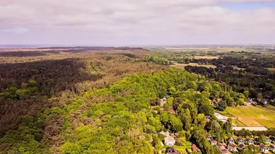 an aerial view of a forest with houses and trees at Dune Haven in Schoorl