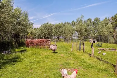 two birds standing in a field with a fence at Nature lovers Your own island in Wijdewormer