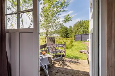 a cat sitting in a chair on a porch looking out a window at Nature lovers Your own island in Wijdewormer