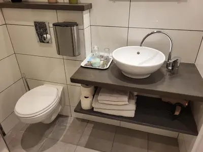 a bathroom with a sink and a toilet at De Gortla in Oosterblokker