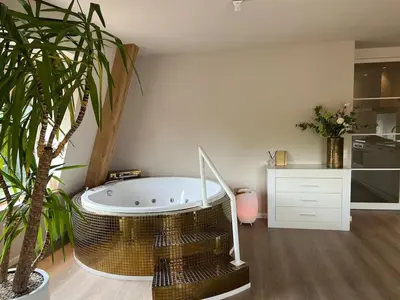 a bath tub in a room with a plant at Luxury Private Spa with golden bath, cinema and sauna in Bodegraven