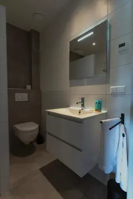 a bathroom with a sink and a toilet and a mirror at Logeer aan de Geer in Wilnis