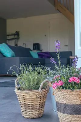 two baskets filled with flowers in a living room at Logeer aan de Geer in Wilnis