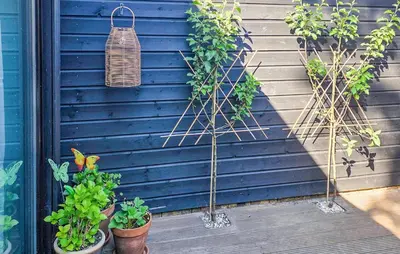 a blue wall with potted plants and a lantern at 1 Bedroom Lovely Home In Heiloo in Heiloo