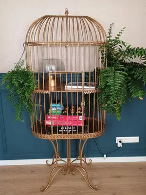 a bird cage with books and plants in it at Het Haven Huysje in Hoorn