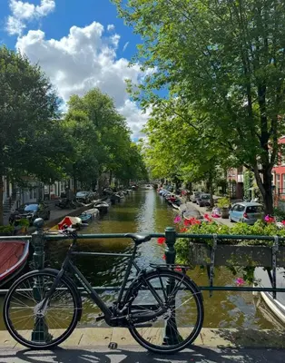 a bike parked on a bridge next to a canal at Cozy Guesthouse 15 min Amsterdam Haarlem Zandvoort in Zwanenburg