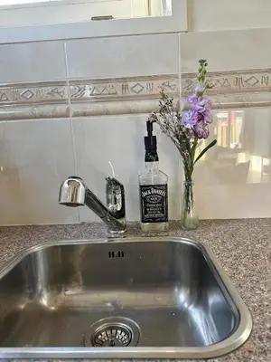 a kitchen sink with a bottle of soap and flowers at Cozy Guesthouse 15 min Amsterdam Haarlem Zandvoort in Zwanenburg
