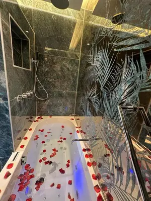 a bathroom with a bath tub with red roses on it at Alp Hotel in Amsterdam