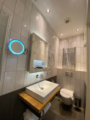 a bathroom with a sink and a toilet and a mirror at Alp Hotel in Amsterdam