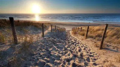 a sandy beach with the sun rising over the ocean at Tiny Garden Room - in city center in Alkmaar