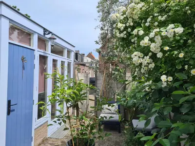 a garden with white flowers and a blue door at Tiny Garden Room - in city center in Alkmaar