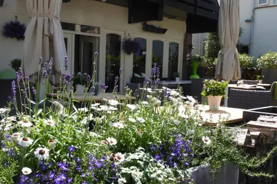 a garden with flowers in front of a house at Duinberk B&B hotel en Brasserie in Schoorl
