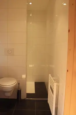 a bathroom with a toilet and a walk in shower at Bed & Breakfast De Stolp in Zuidoostbeemster