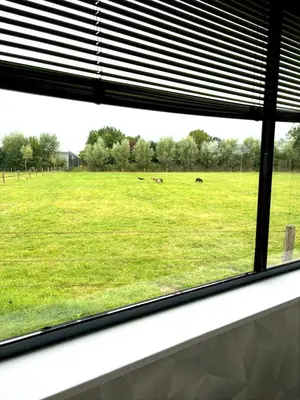 a window view of a field with animals in the distance at De Polderhoeve in Heerhugowaard