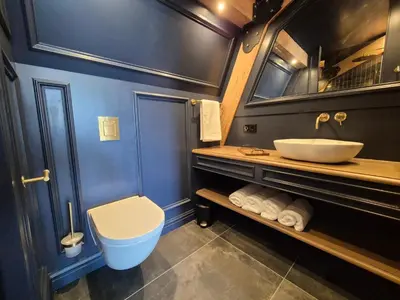 a bathroom with a sink and a toilet in it at Bed and Breakfast Zomerzicht in Oudendijk
