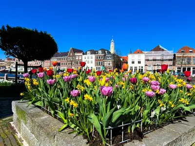 a bunch of flowers in front of a city at B&B De Amsterdamse Poort in Haarlem