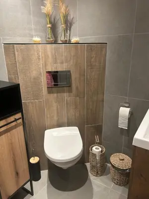 a bathroom with a toilet and a sink at Onder de hanebalken in Dirkshorn