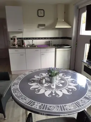 a kitchen with a table with a bowl of flowers on it at Dirosa in Onderdijk