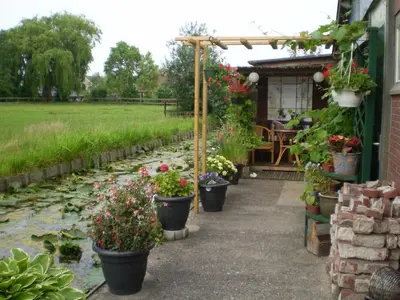 a garden with potted plants and a pond at Dirosa in Onderdijk