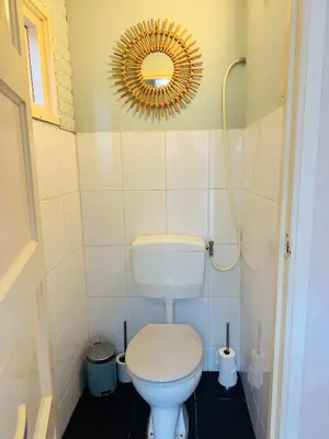 a small bathroom with a toilet and a mirror at Het zandhuisje 84 in Noordwijk aan Zee