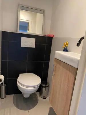 a bathroom with a toilet and a sink and a mirror at Rooftop Terrace Apartment in Amsterdam