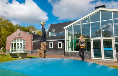 two women standing on top of a blue trampoline at Holiday home - area AMSTERDAM - 6 people in Halfweg