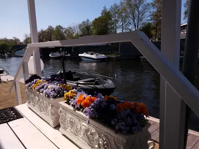 a bunch of flowers on a dock with a boat at Chalet with waterfront sauna and boat in Loosdrecht