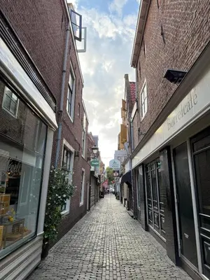 a cobblestone street in an alley between buildings at The Blue House in Alkmaar