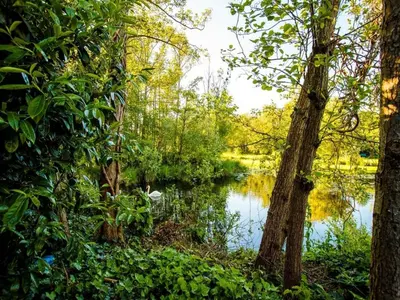 a river in the middle of a forest with trees at Temple of Hedon Wellness Spa and Sleep in Ankeveen