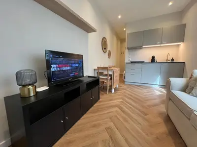 a living room with a flat screen tv on a black cabinet at The Dune house, Free parking in Zandvoort