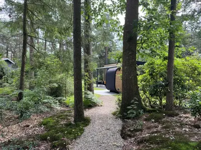 aernessernesserness with a path in the woods with trees at Samoza in Ons Belang