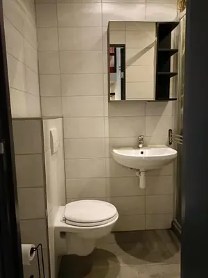a bathroom with a toilet and a sink at Stijlvolle Designstudio in Almere