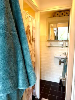 a bathroom with a blue shower curtain and a sink at Cosy Studio, with outdoor swimming in Amsterdam