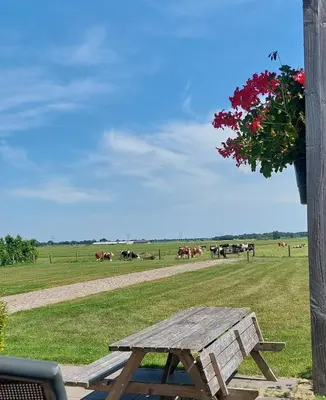 a picnic table in a field with horses in the background at Recreatie aan de Vecht, Hooibergje 2, Weesp in Weesp