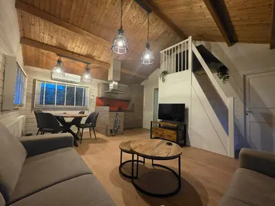 a living room with a couch and a table at leuke gezellige blokhut in Vijfhuizen