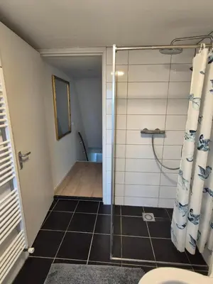 a bathroom with a shower and a toilet at Amsterdam ZaanseSchans House in Krommenie