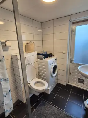 a bathroom with a toilet and a washing machine at Amsterdam ZaanseSchans House in Krommenie